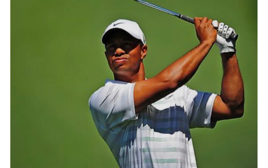 MOVIMENTO COMO POTÊNCIA x REGENERAÇÃO