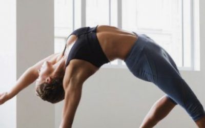 FLEXIBILIDADE